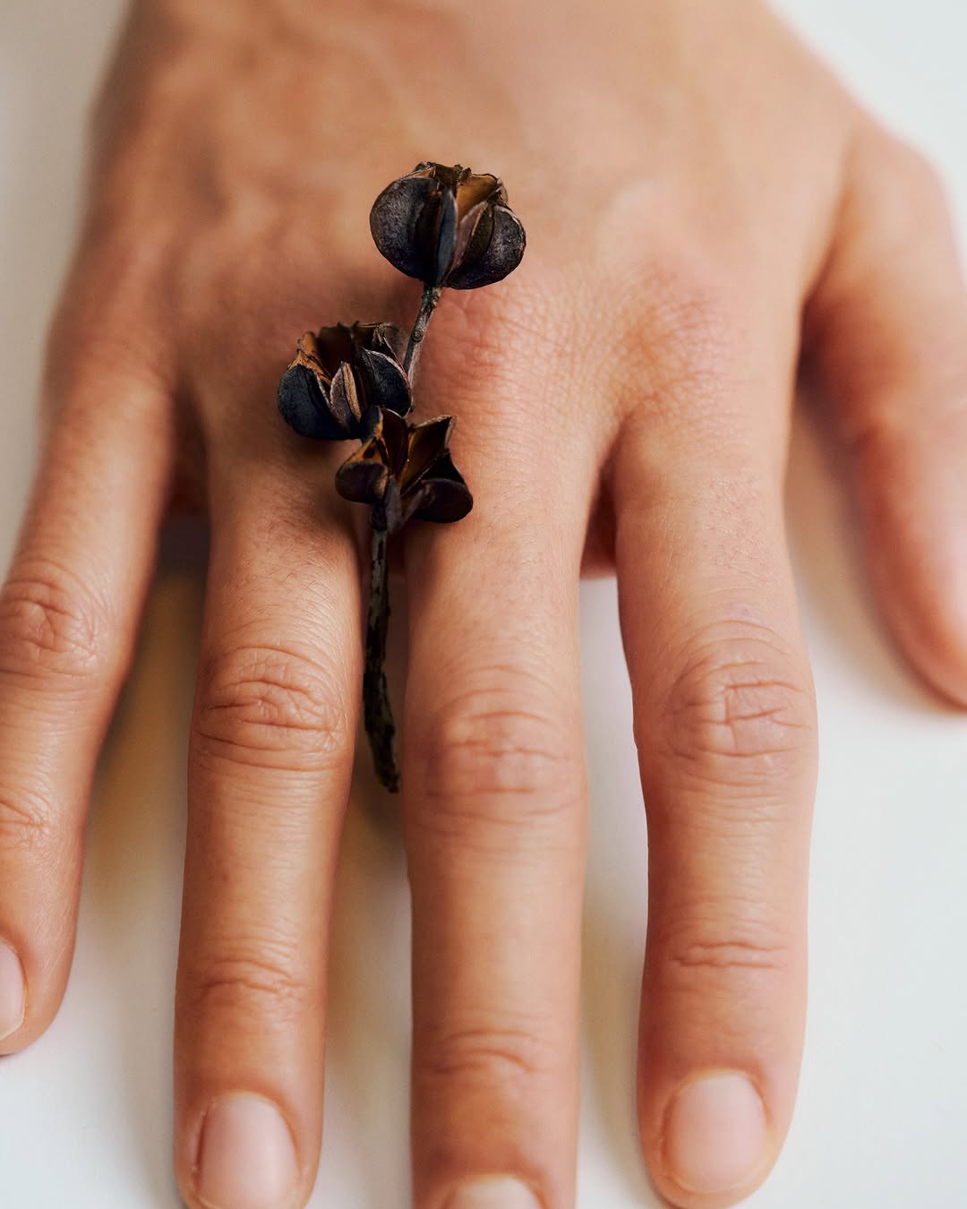 Jasmina Martiradonna