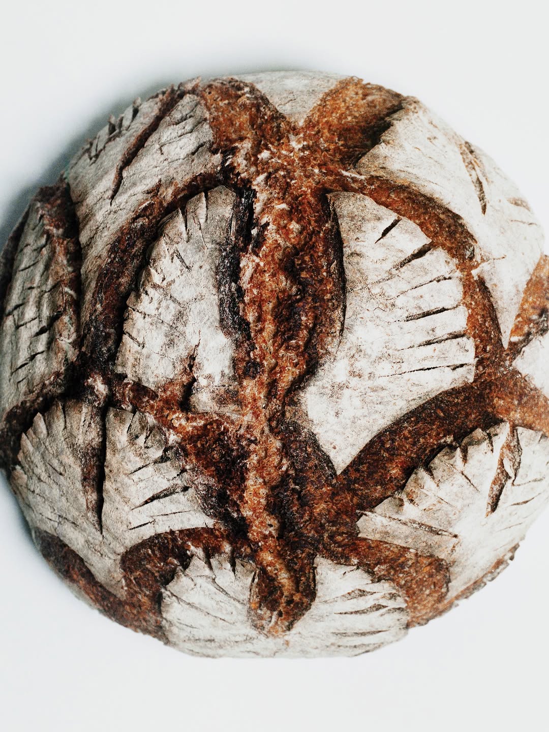 Jasmina Martiradonna X Duel Magazine