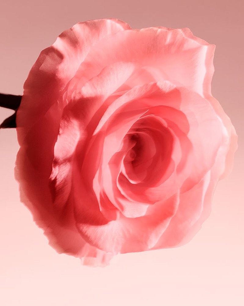 Maison Francis Kurkdjian |  Feb. 22