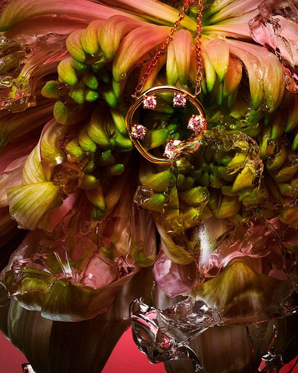 The Future Rocks |  Feb. 22