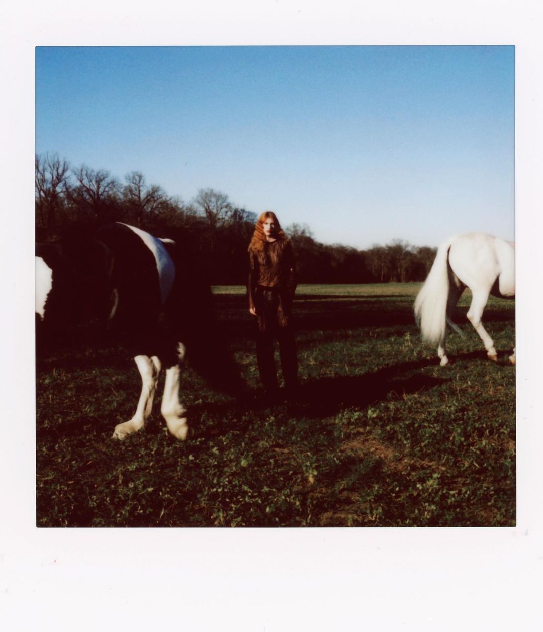 SILHOUETTE |  Apr. 23