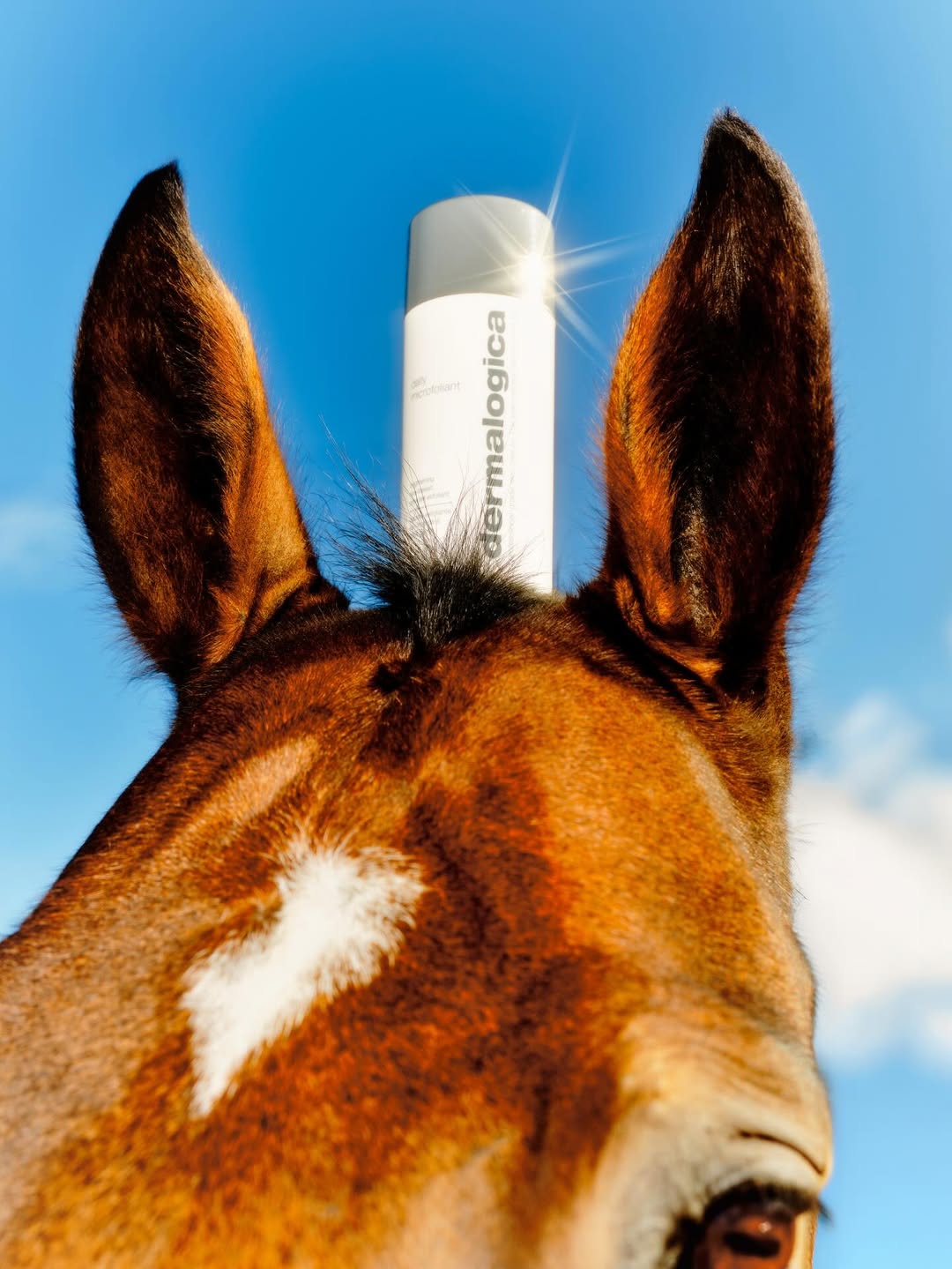 British GQ |  Oct. 25