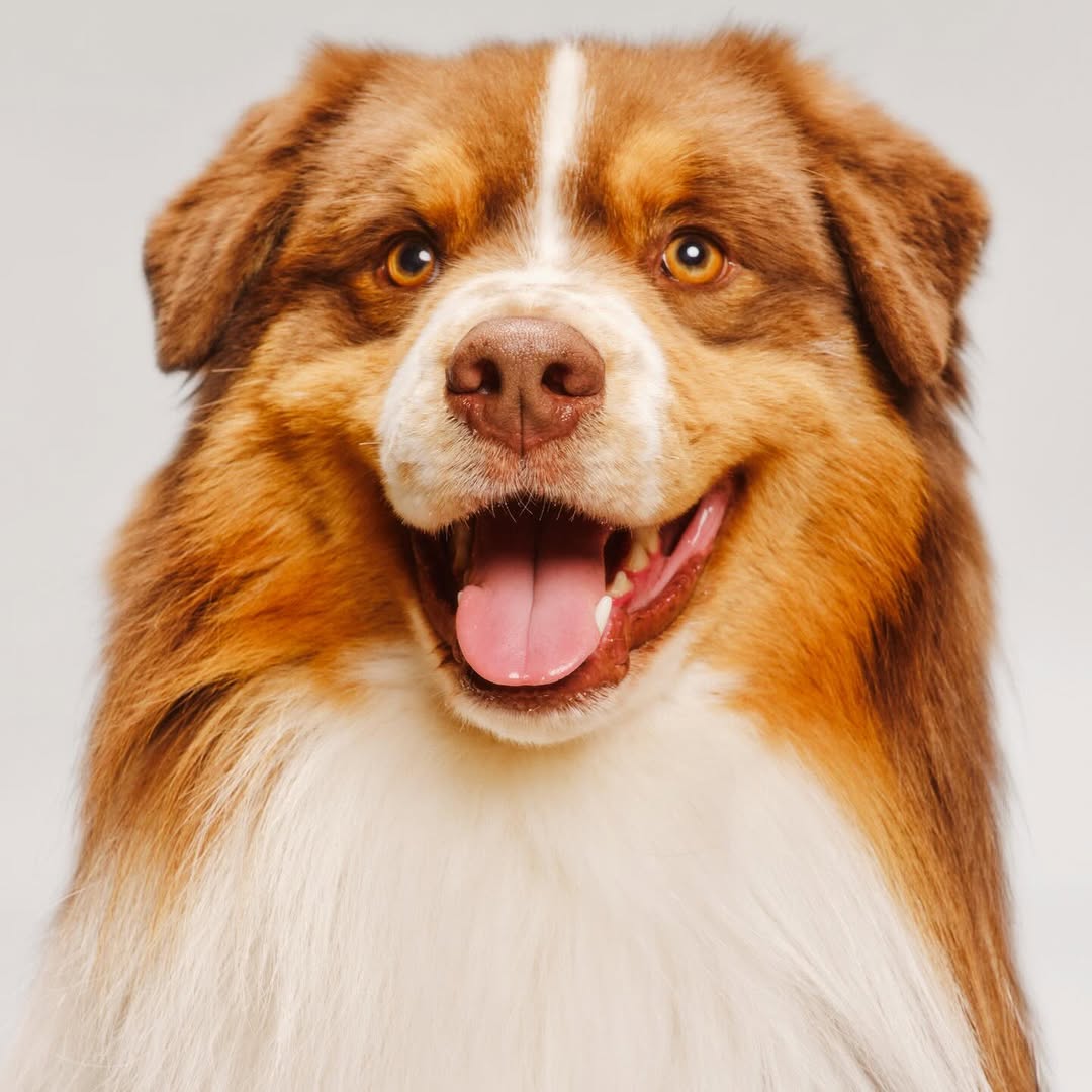 <a href="/joe-hart">Joe Hart</a> X Apple <span style="text-transform: none; white-space: nowrap;">Feb. 26</span>