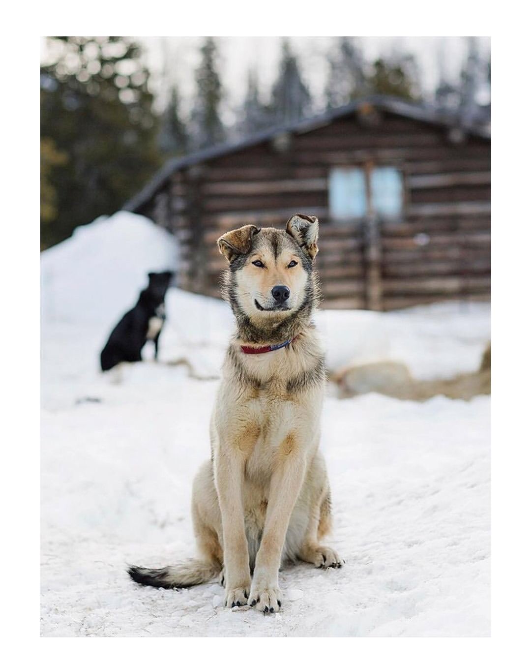 <a href="/travis-gillett">Travis Gillett</a> <span style="text-transform: none; white-space: nowrap;">Sep. 25</span>