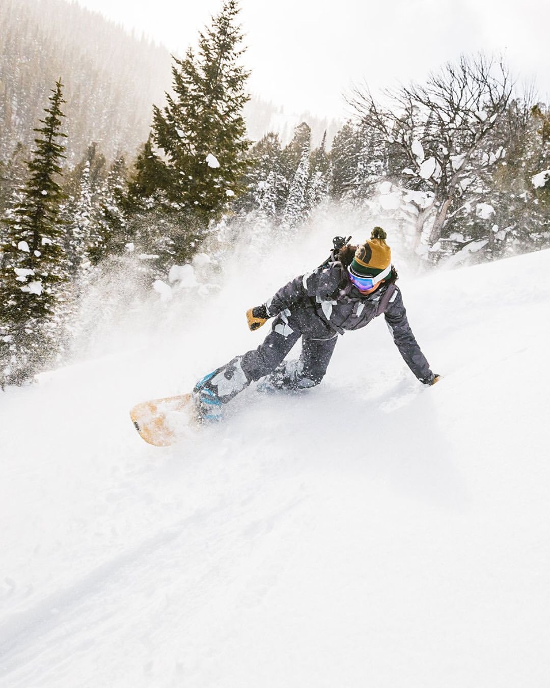 <a href="/sofia-jaramillo">Sofia Jaramillo</a> <span style="text-transform: none; white-space: nowrap;">Nov. 25</span>