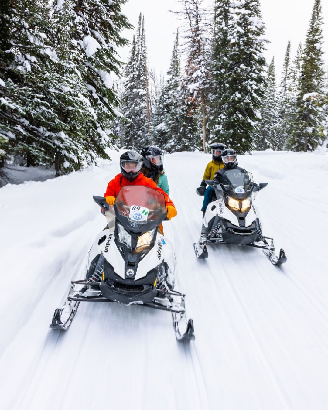 <a href="/sofia-jaramillo">Sofia Jaramillo</a> <span style="text-transform: none; white-space: nowrap;">Nov. 25</span>