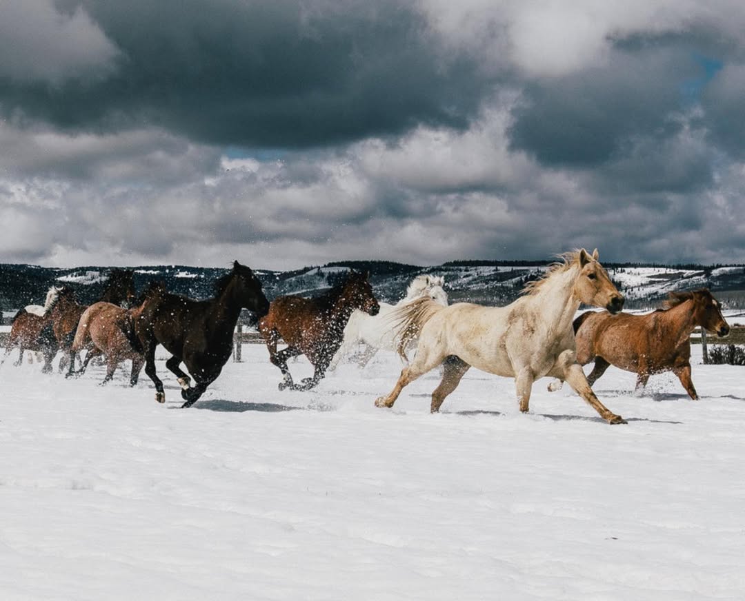 Travis Gillett Dec. 25