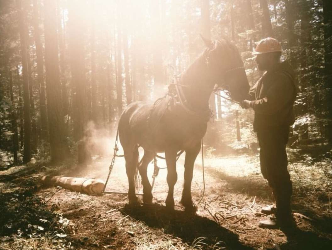 Travis Gillett X Filson