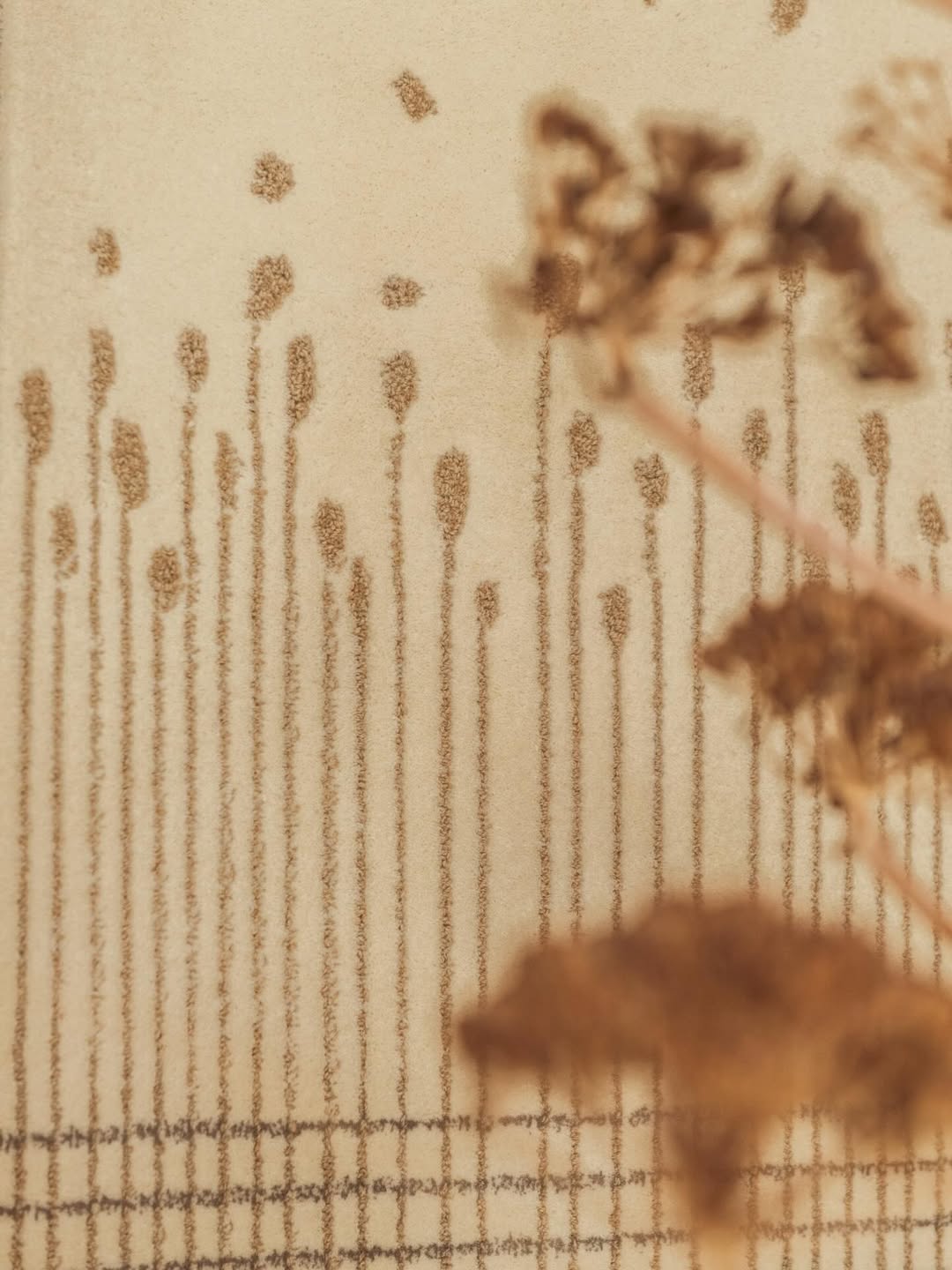 Valerio Geraci X Ferreira de Sá Rugs Feb. 26