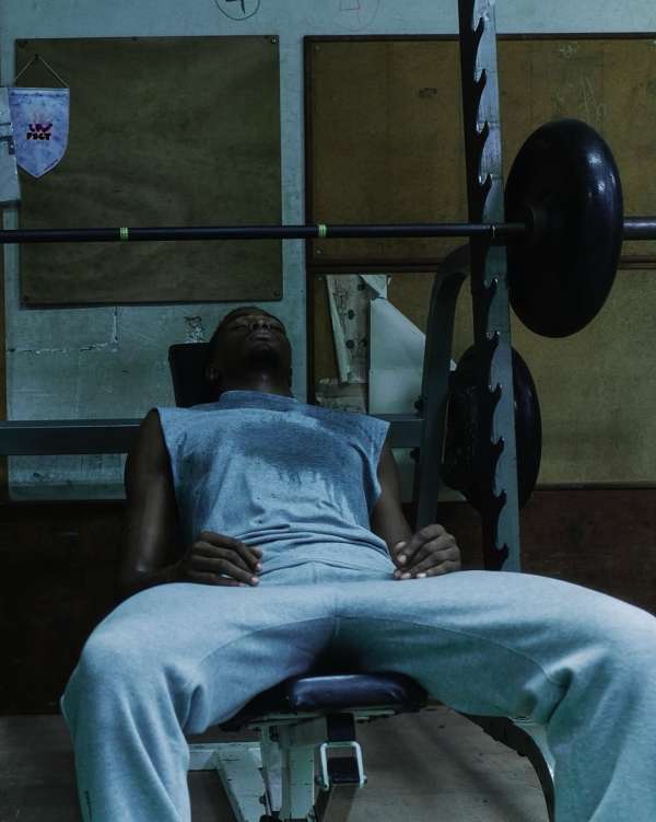 The latest Cardinal Stock collection featur...