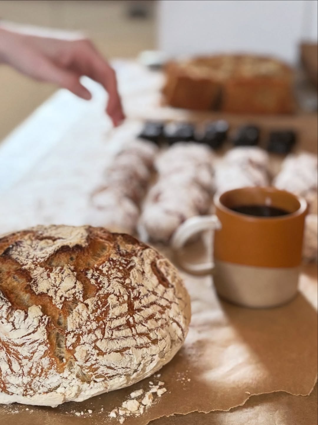 Venetia VH Alkema Feb. 26