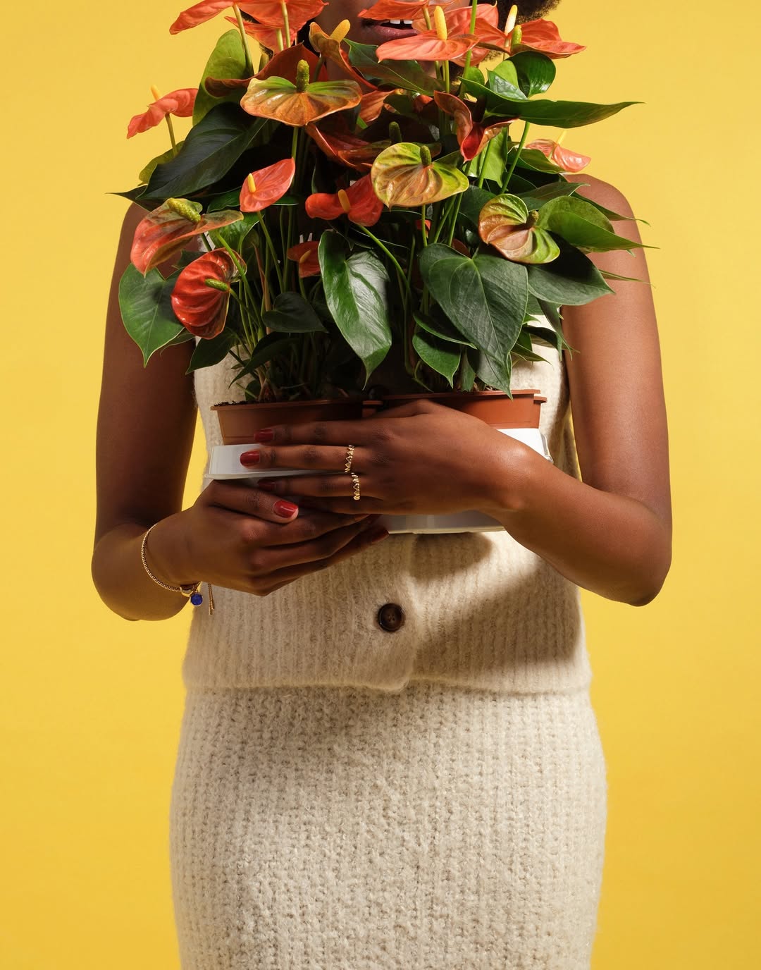 Victoria Ling X Pandora Feb. 26