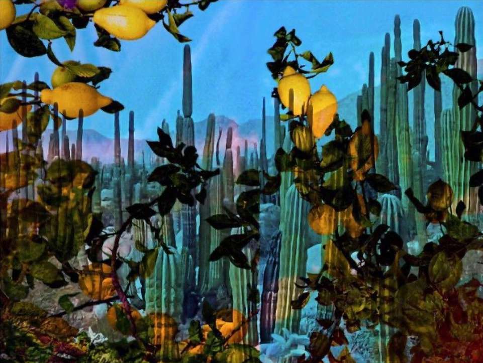 Ministry Of Nomads |  Jun. 23