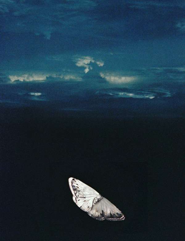 Matthieu Lavanchy