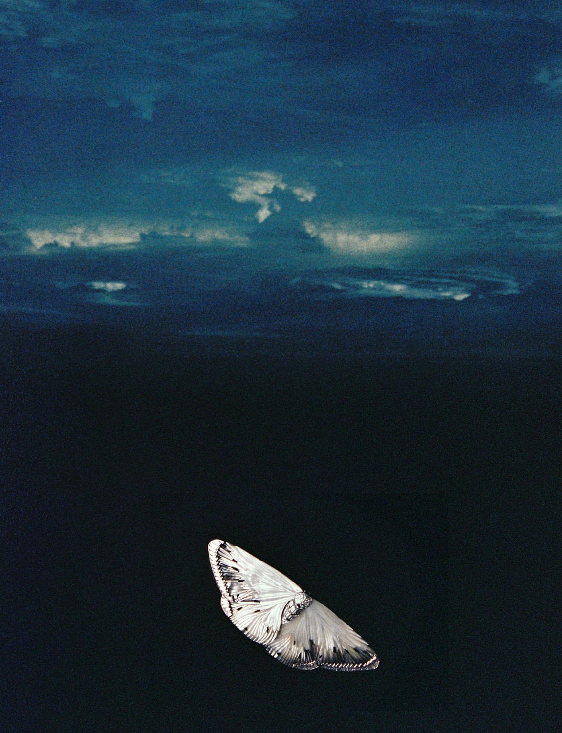 Matthieu Lavanchy