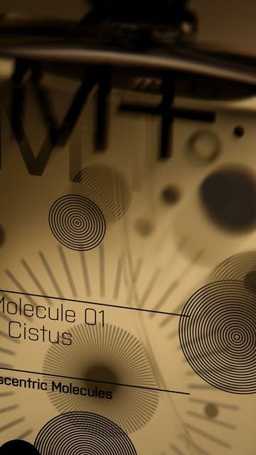 George Harvey X Escentric Molecules Sep. 25