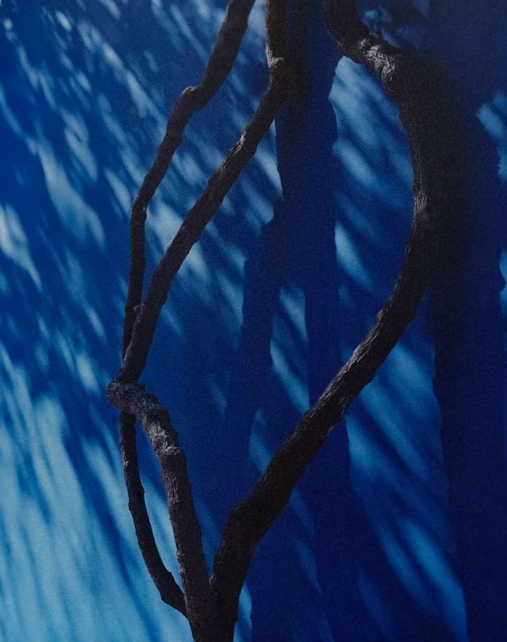 Charlotte Deregnieaux Apr. 26