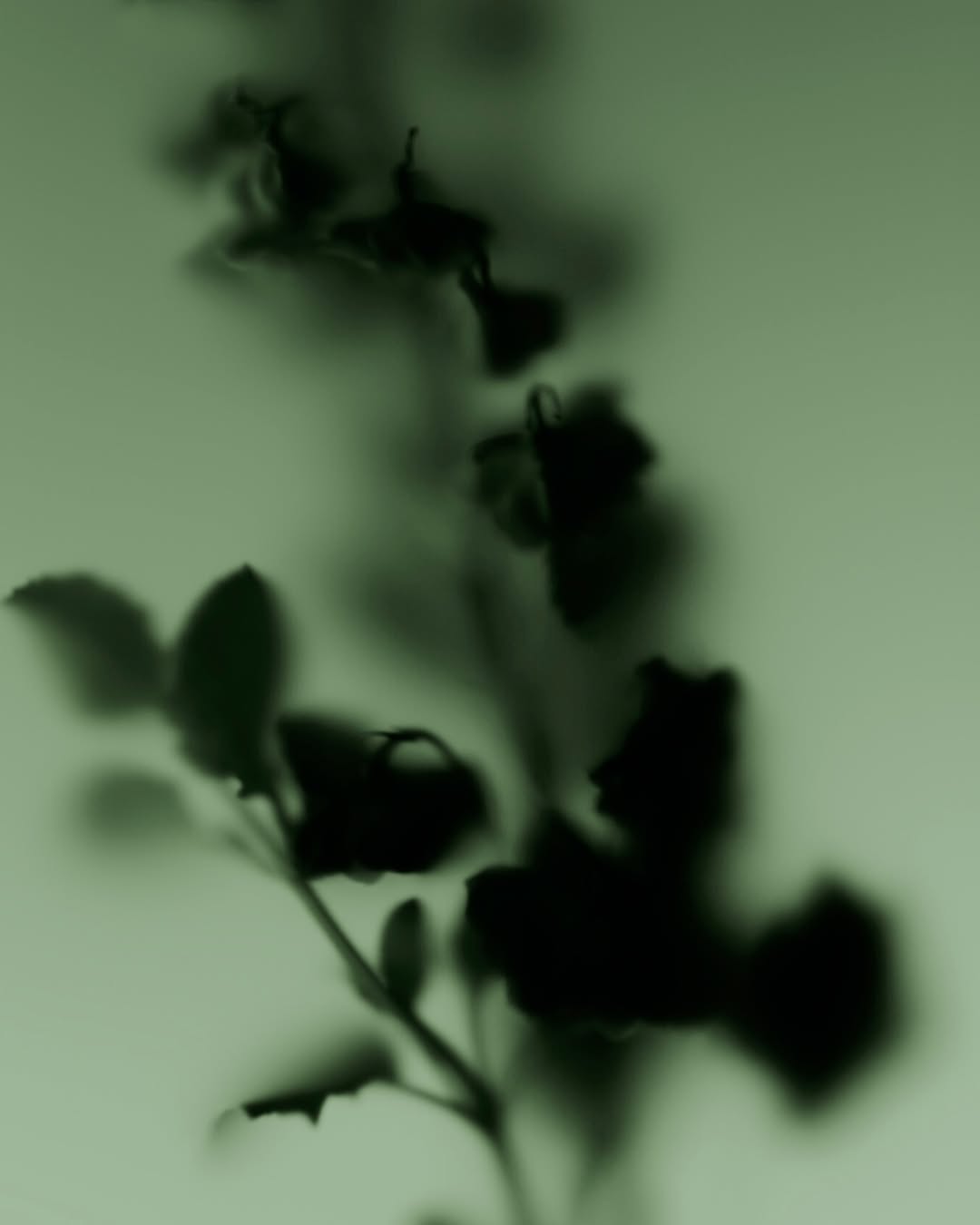 George Harvey X Escentric Molecules Jun. 26