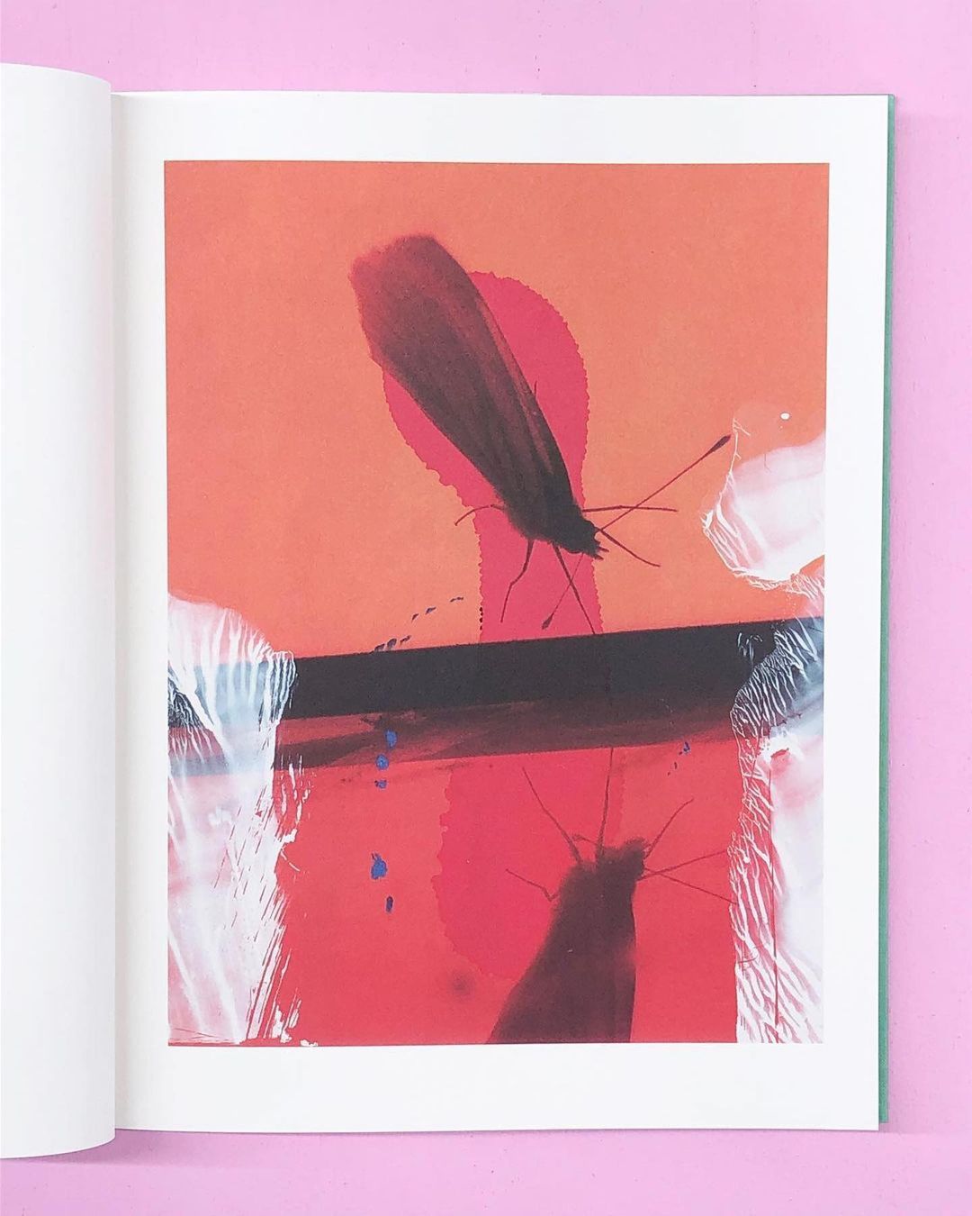 JBE Books |  Oct. 22