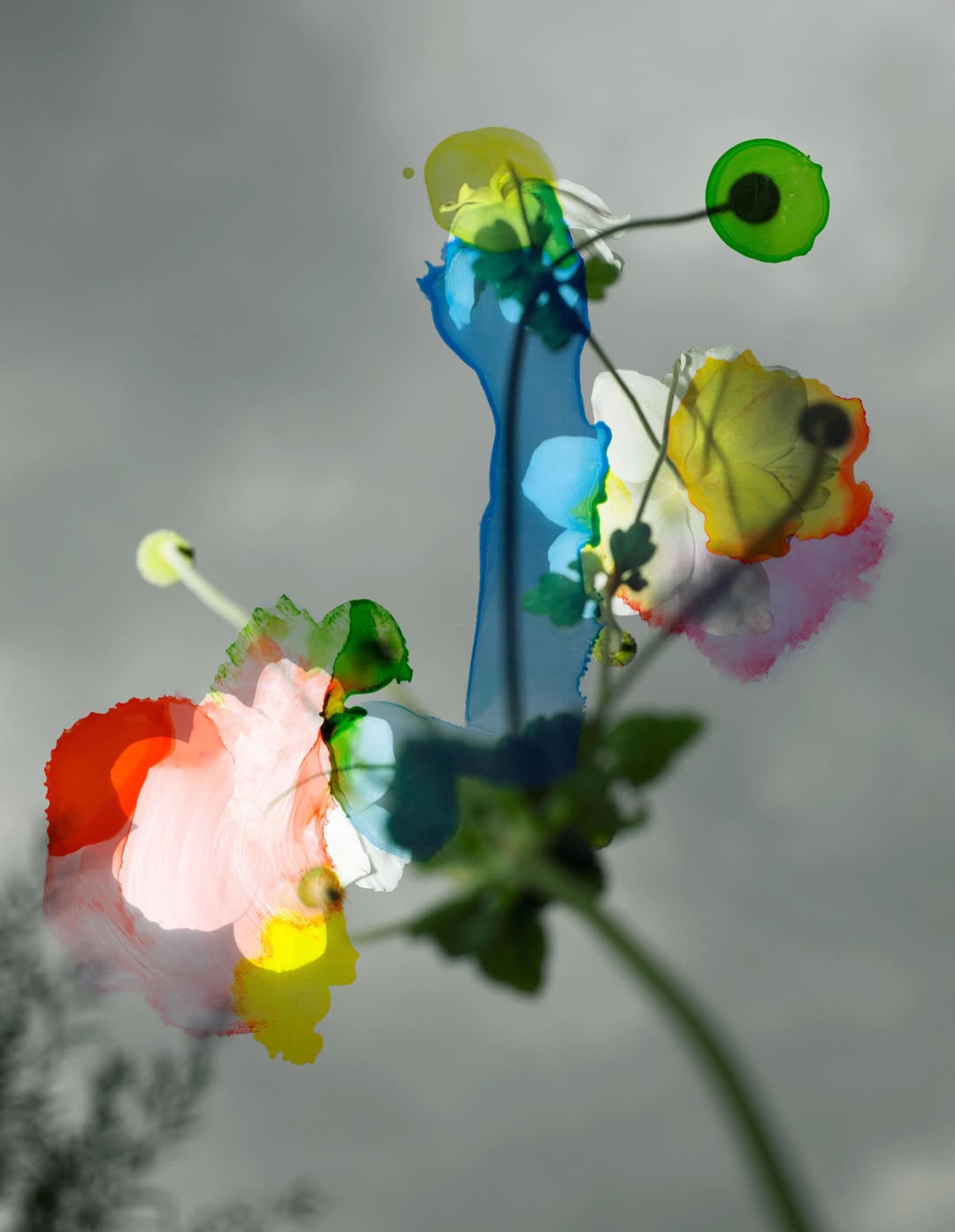 Viviane Sassen
