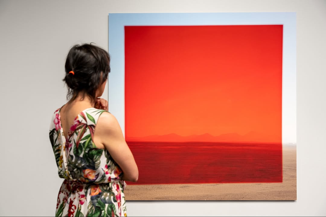 Viviane Sassen