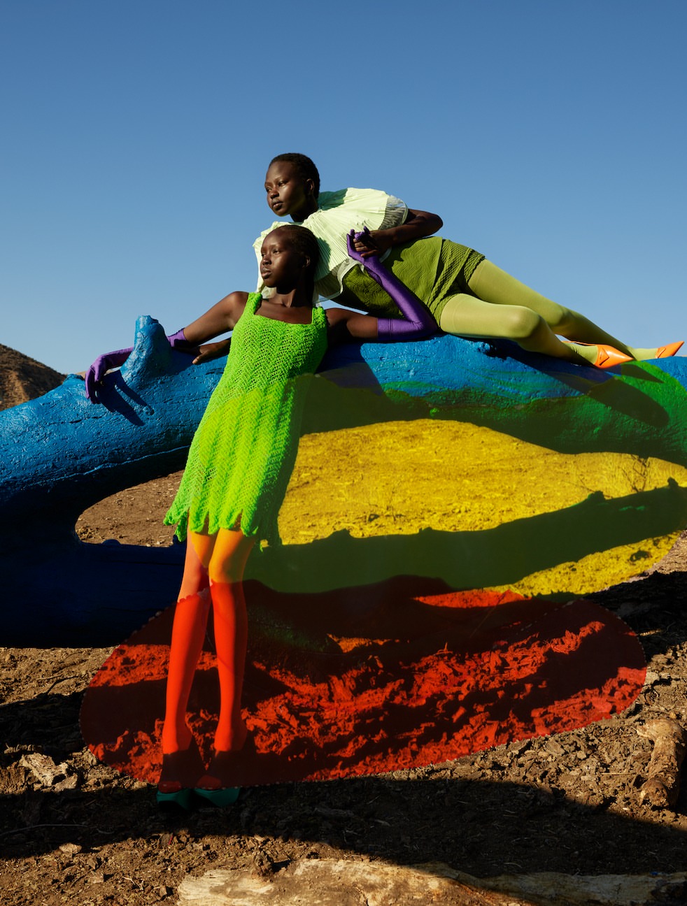 Viviane Sassen