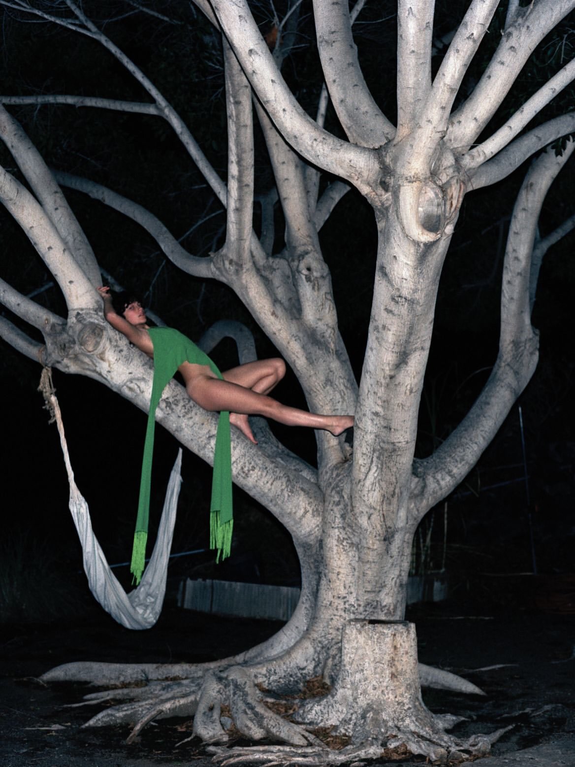 Viviane Sassen