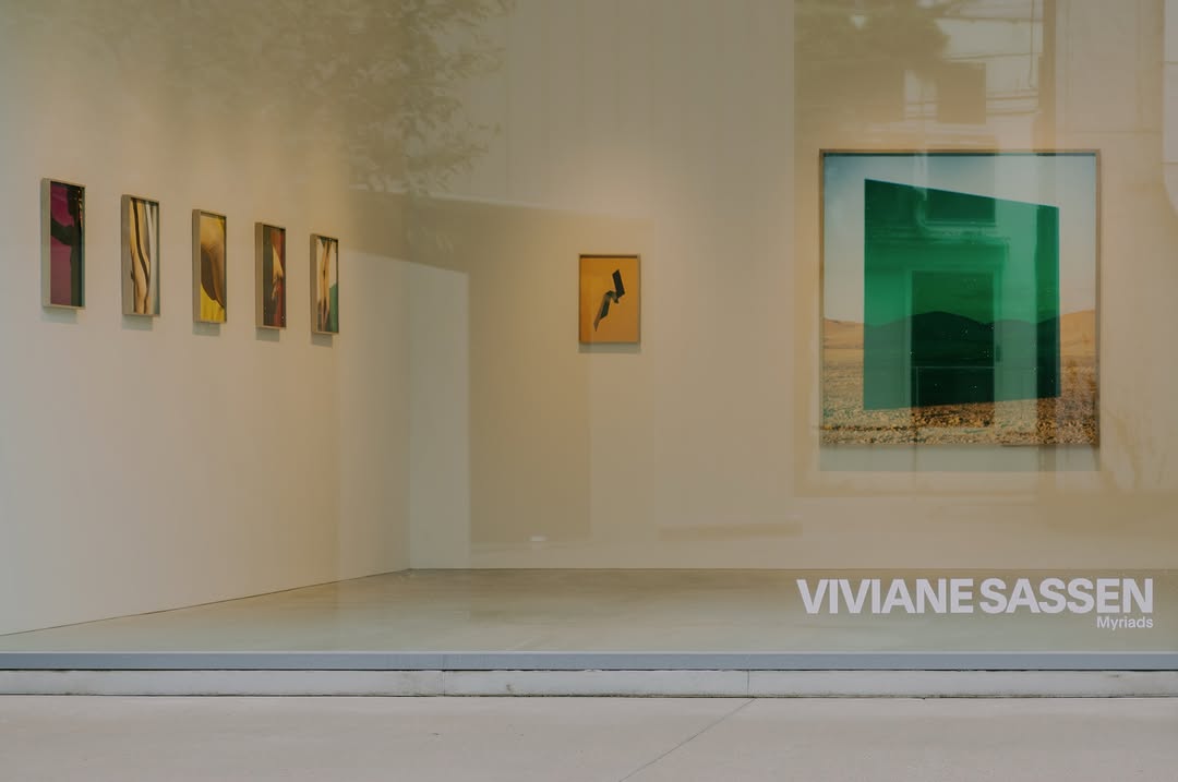 Viviane Sassen