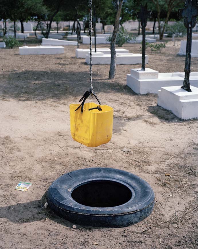 Viviane Sassen