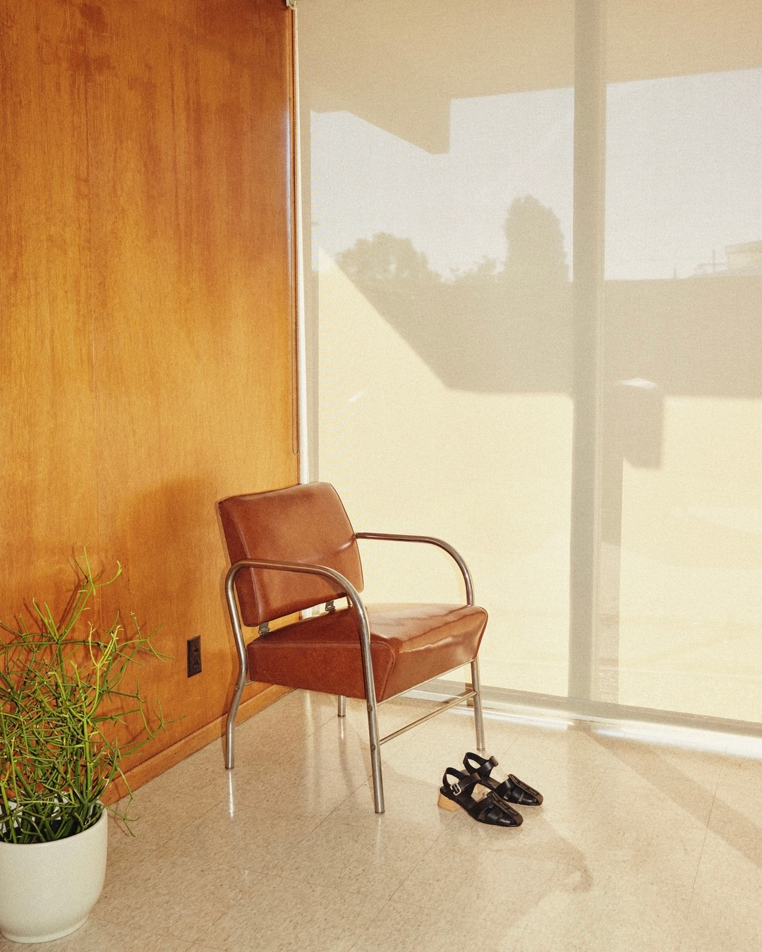 FRĒDA SALVADOR |  Apr. 23