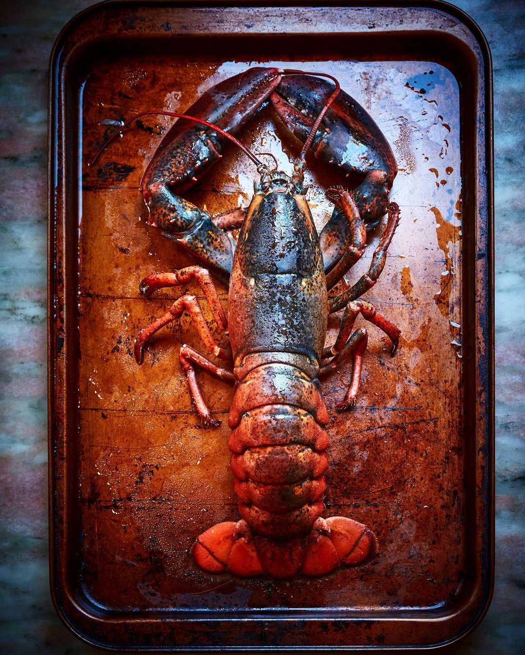 Flamingo Estate |  Jan. 22