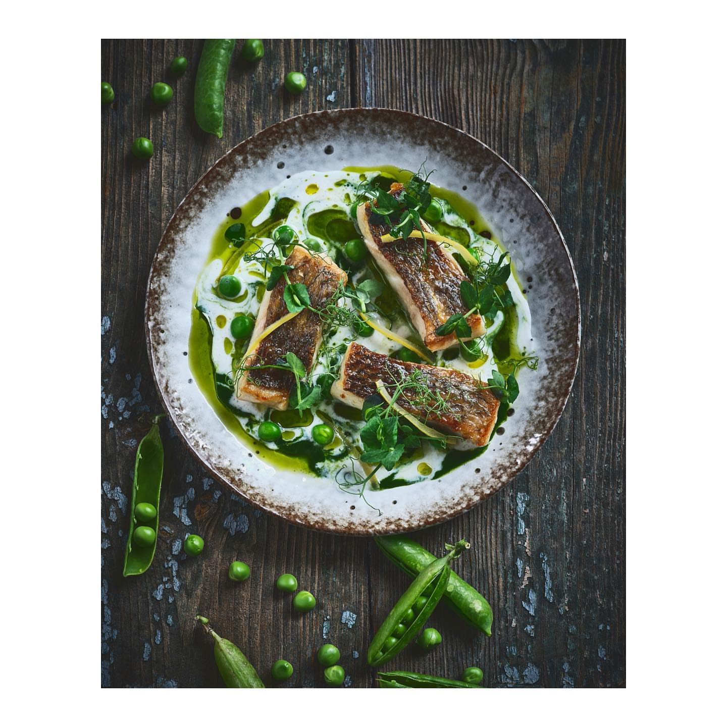 Solar Cuisine |  Mar. 22