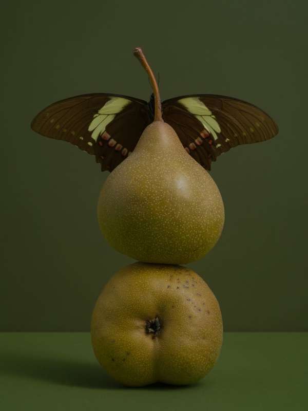 Franck Hamel