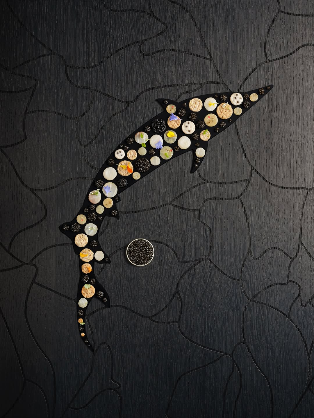 Franck Hamel X Caviar Sturia Nov. 25