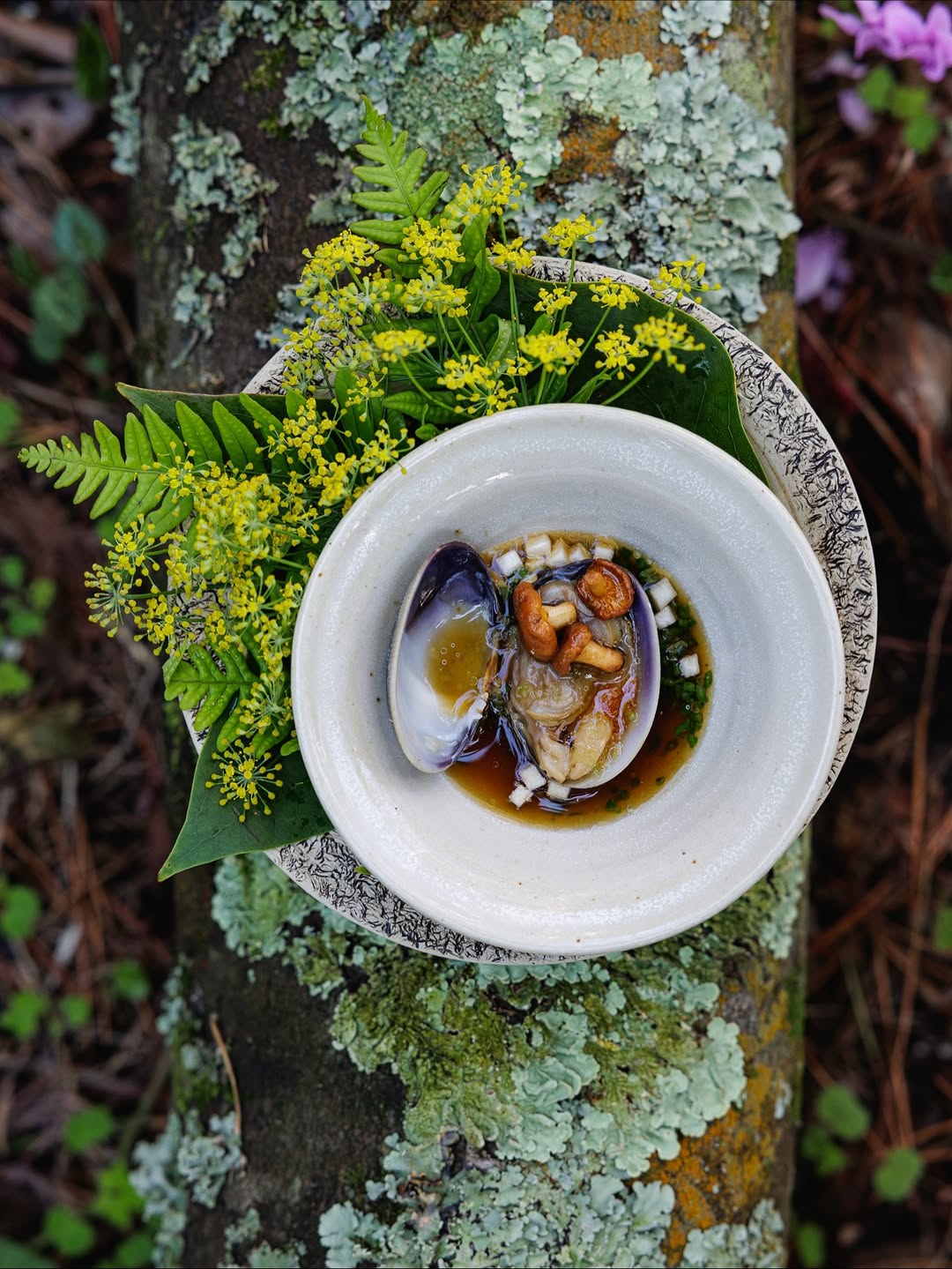 Franck Hamel X Hugo Roellinger for Madame Figaro Nov. 25