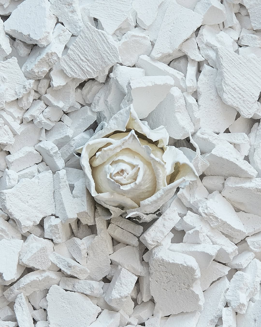 Cécile & Guillaume Dec. 25