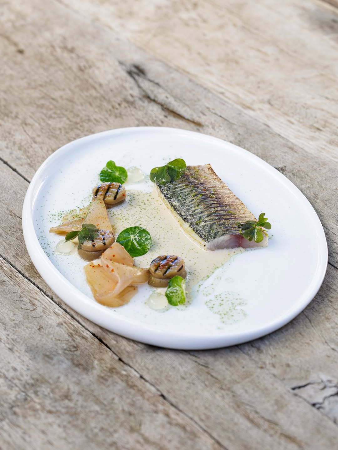 Franck Hamel X METRO France