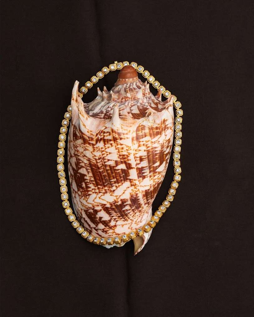 <a href="/lauren-coleman">Lauren Coleman</a> X DARIUS <span style="text-transform: none; white-space: nowrap;">Feb. 26</span>