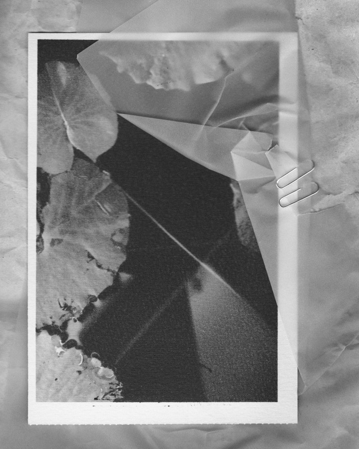 <a href="/alice-leveque">Alice Lévêque</a> <span style="text-transform: none; white-space: nowrap;">Oct. 25</span>