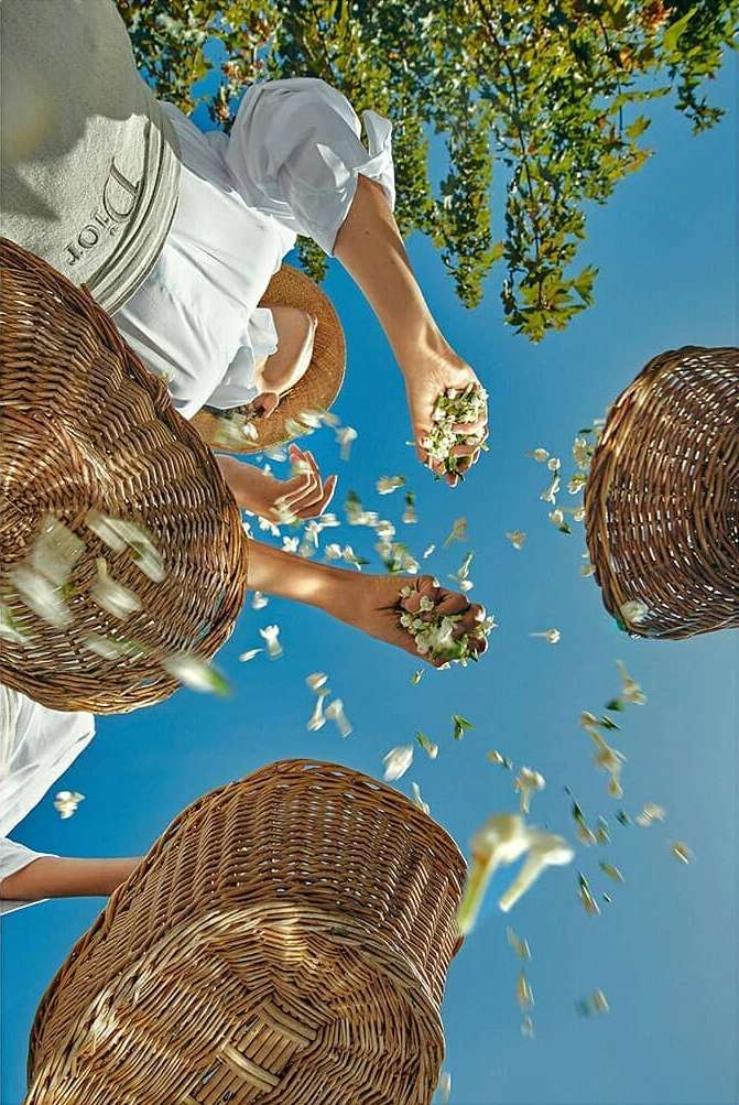 Dior Parfums |  May. 20