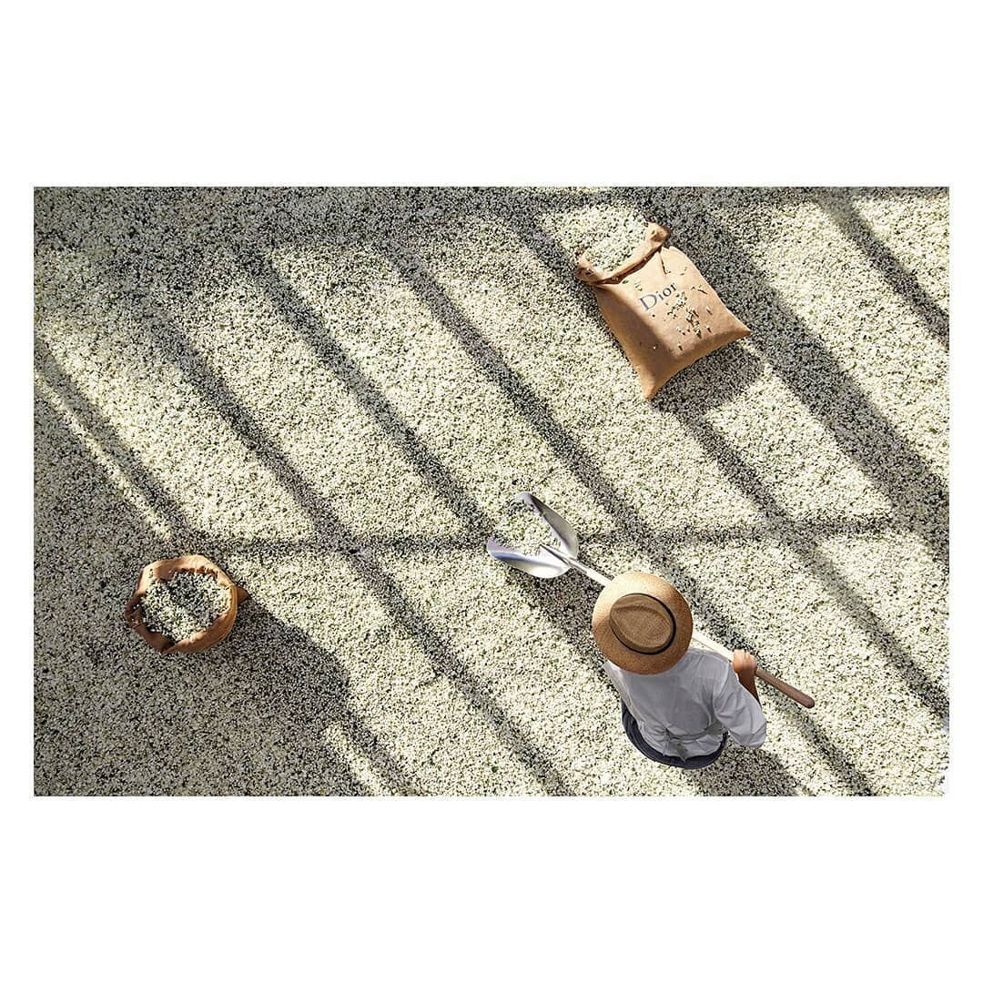 Dior Parfums |  May. 20