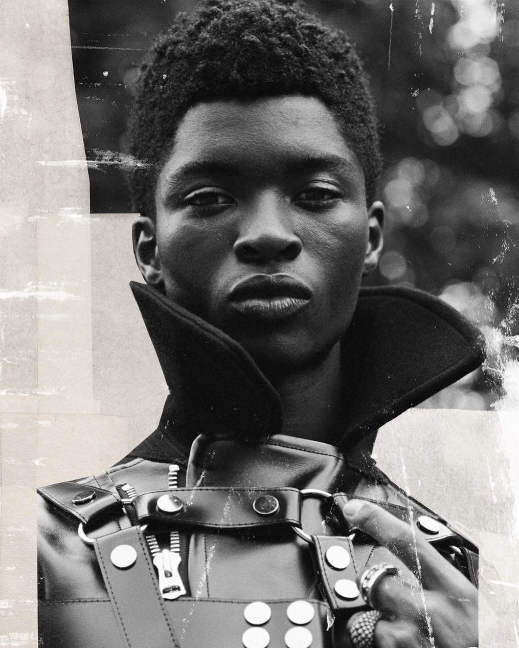 King Kong Garçon |  Nov. 20