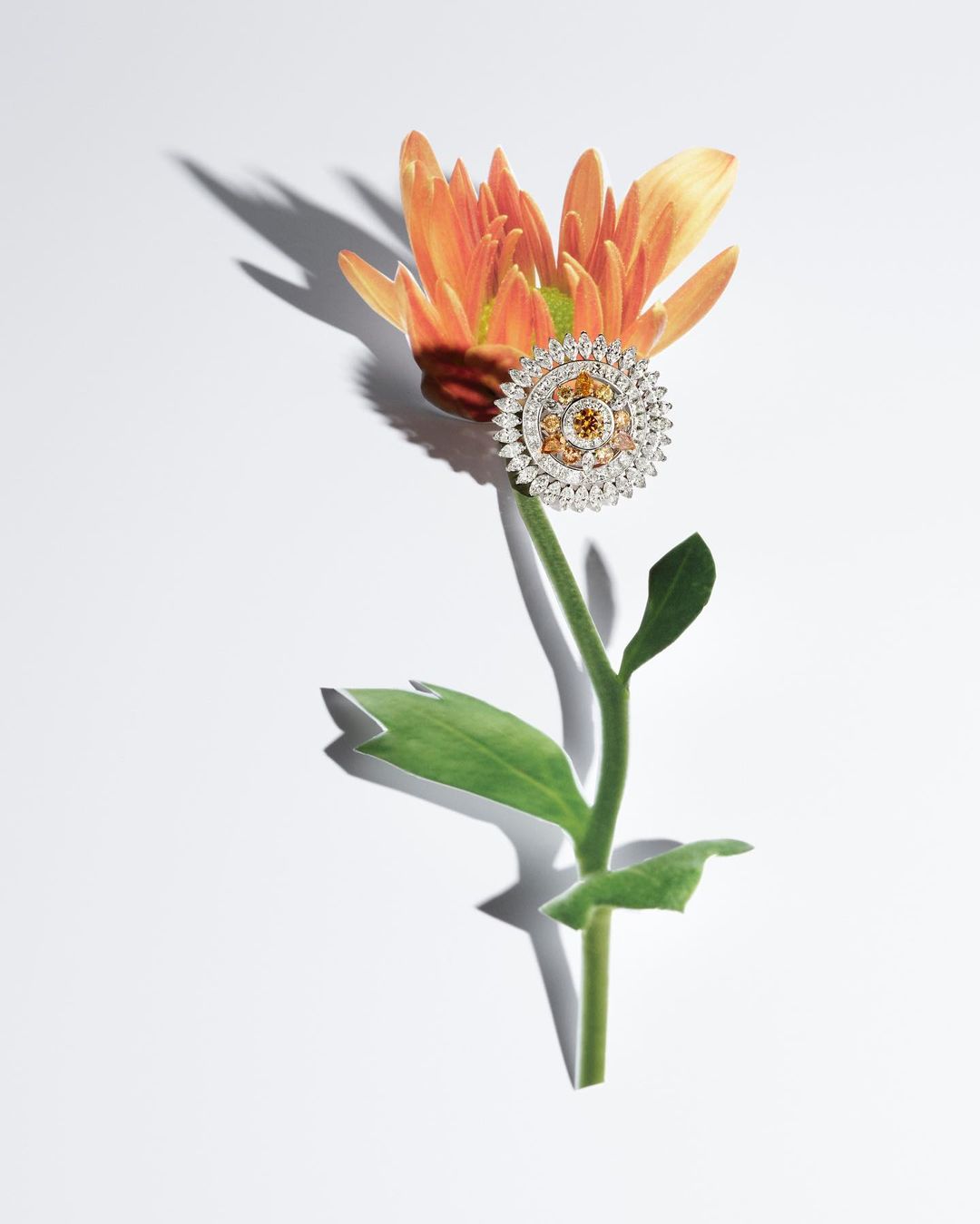 Elle France |  May. 21