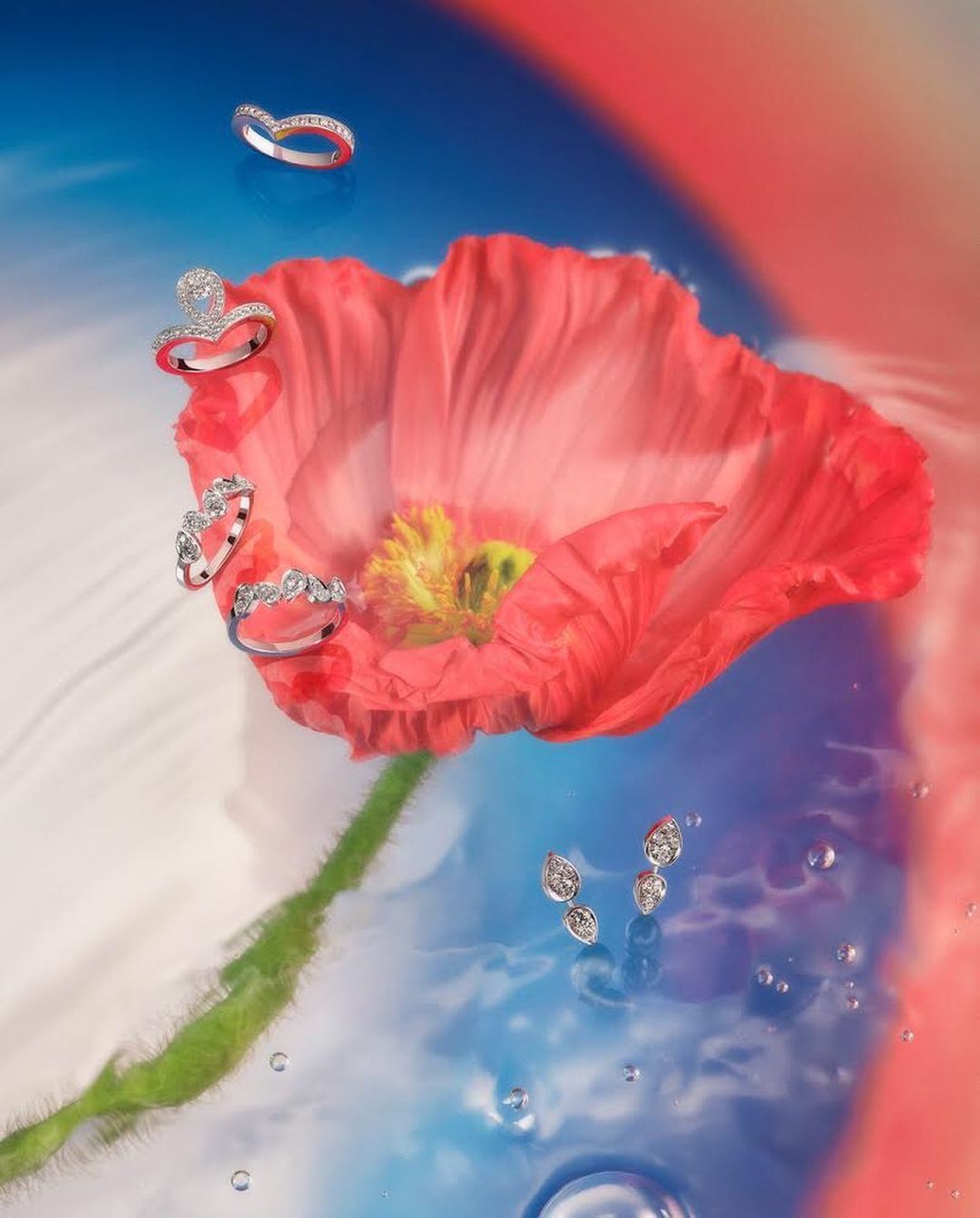 Les Echos Week-End |  May. 21