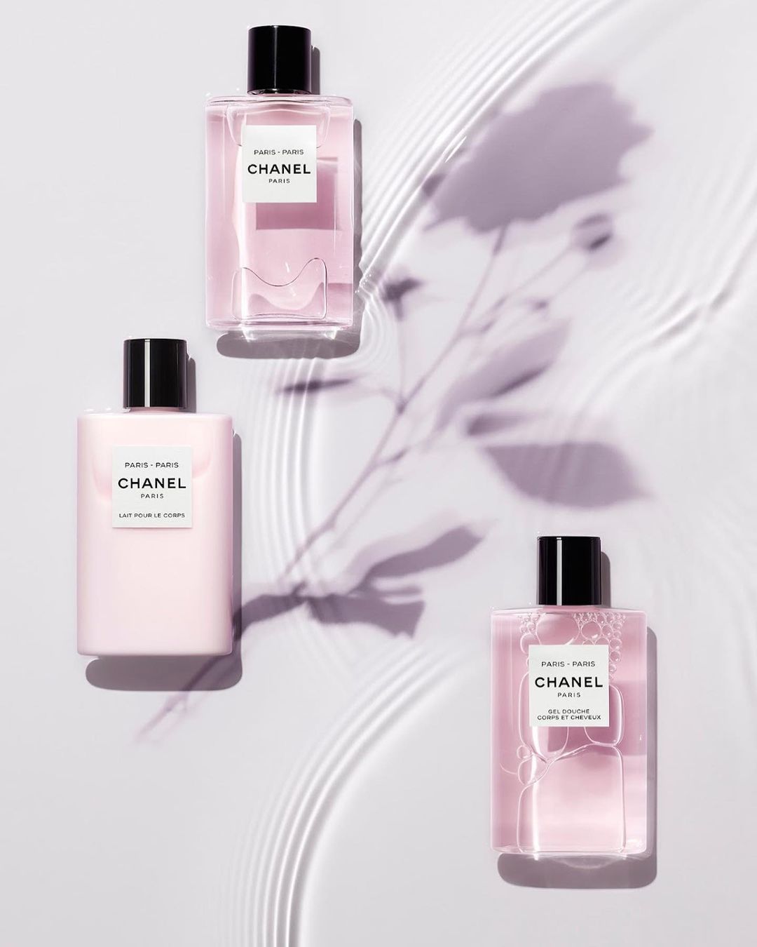 Chanel Beauty |  Aug. 22