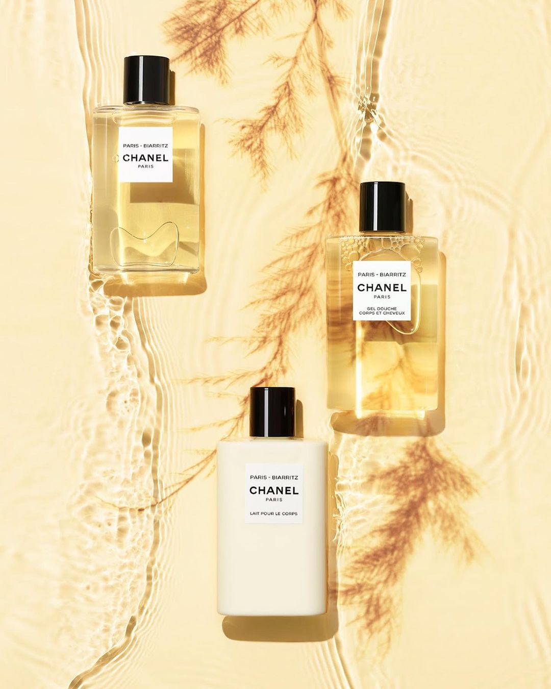 Chanel Beauty |  Aug. 22