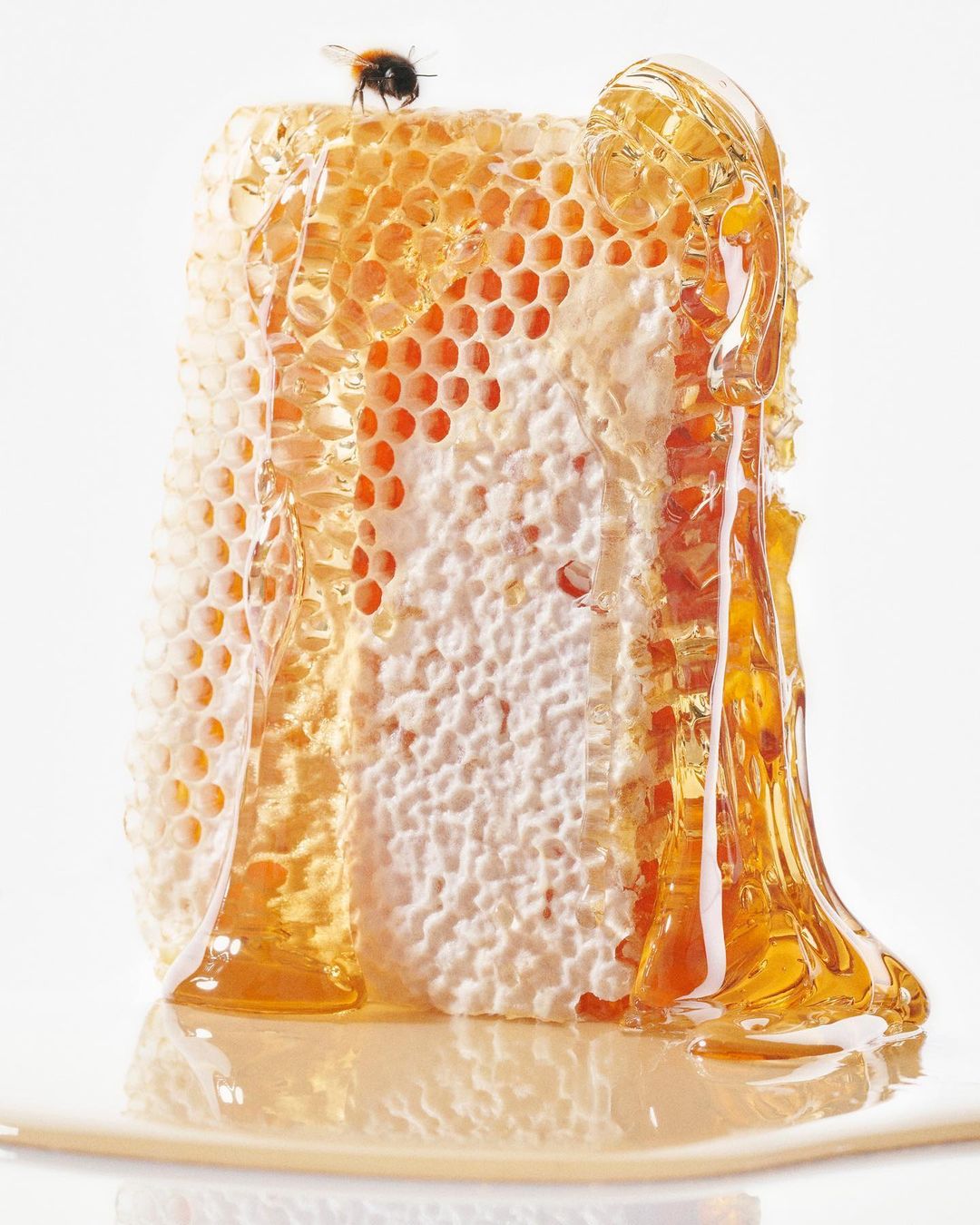 Libération |  Jan. 23