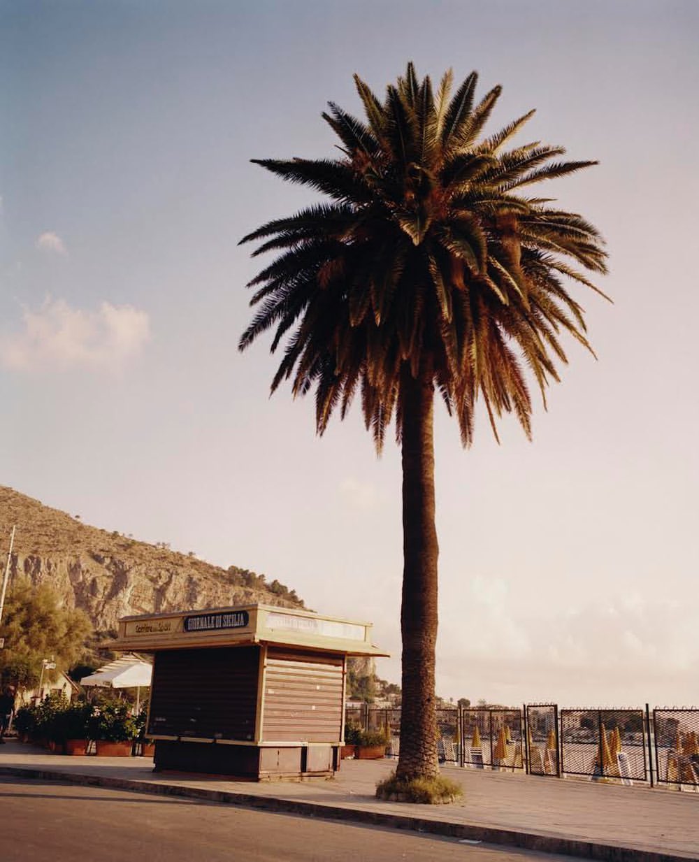 D la Repubblica |  Aug. 23