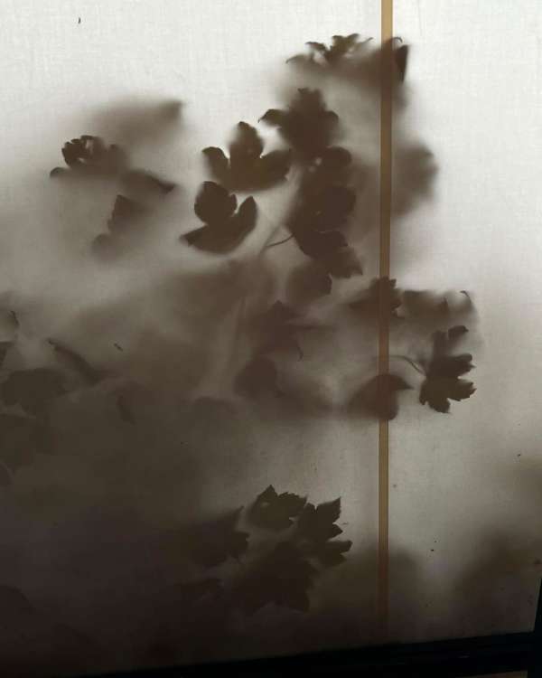 Philippe Lacombe