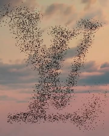 Reference X Louis Vuitton Dec. 25